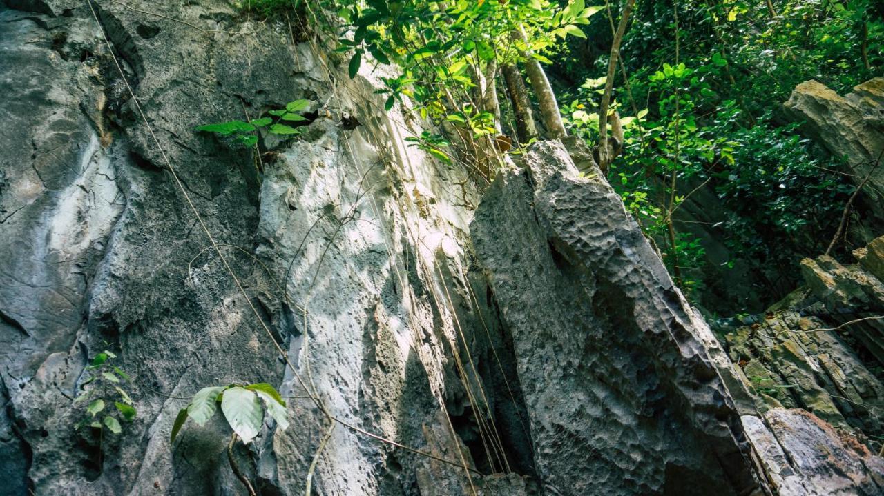 Ced Pension El Nido Bagian luar foto
